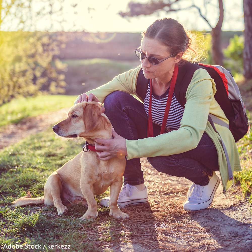Recognize the signs of Lyme disease and keep pets safe