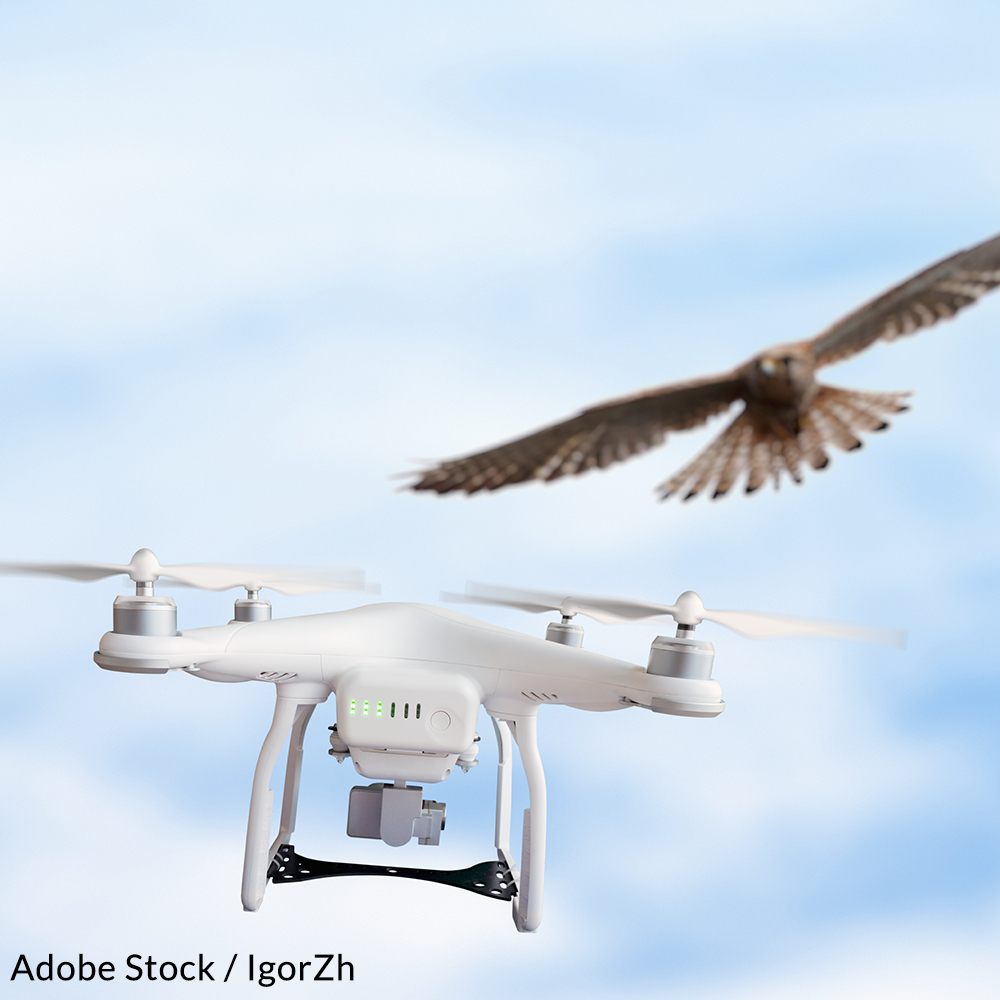 Keep Drones Out Of Federally Protected Reserves!